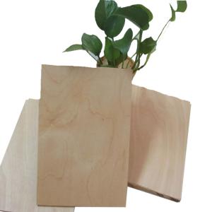 Wholesale Flat Cut 18mm Birch Faced Plywood 4x8 12mm Melamine Glue from china suppliers