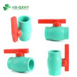 PP-R Ball Valve Plastic PVC UPVC Pipe Fittings in Green Color for Round Head