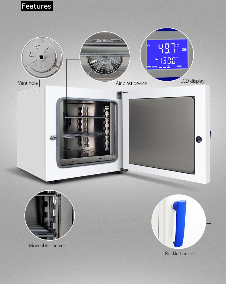 CE 50Hz Laboratory Dryer Oven 40L Sterilization Drying Oven Insulation