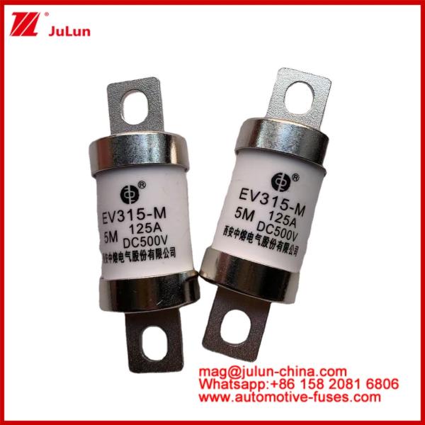 EV315-M 5M 125A HS 500VDC Truck Heavy Tubular fuse electric light bolt