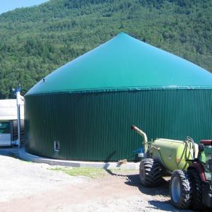 Wholesale Single Membrane Biogas Cover For Biogas Project Low Emission from china suppliers