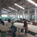 American Oak Engineered Wood Veneer Quarter Slice Cut 0.5mm Thinckness For Door