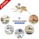 30 Inch Traditional Indoor LED Ceiling Fan Remote Control 6 Speed DC Motor