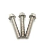 M3-M56 Stainless Steel Best Price Din 6921 Hex Head Flange Bolt
