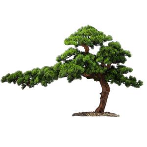 Wholesale 200cm Artificial Landscaping Trees Plant Welcome Pine Ornaments from china suppliers