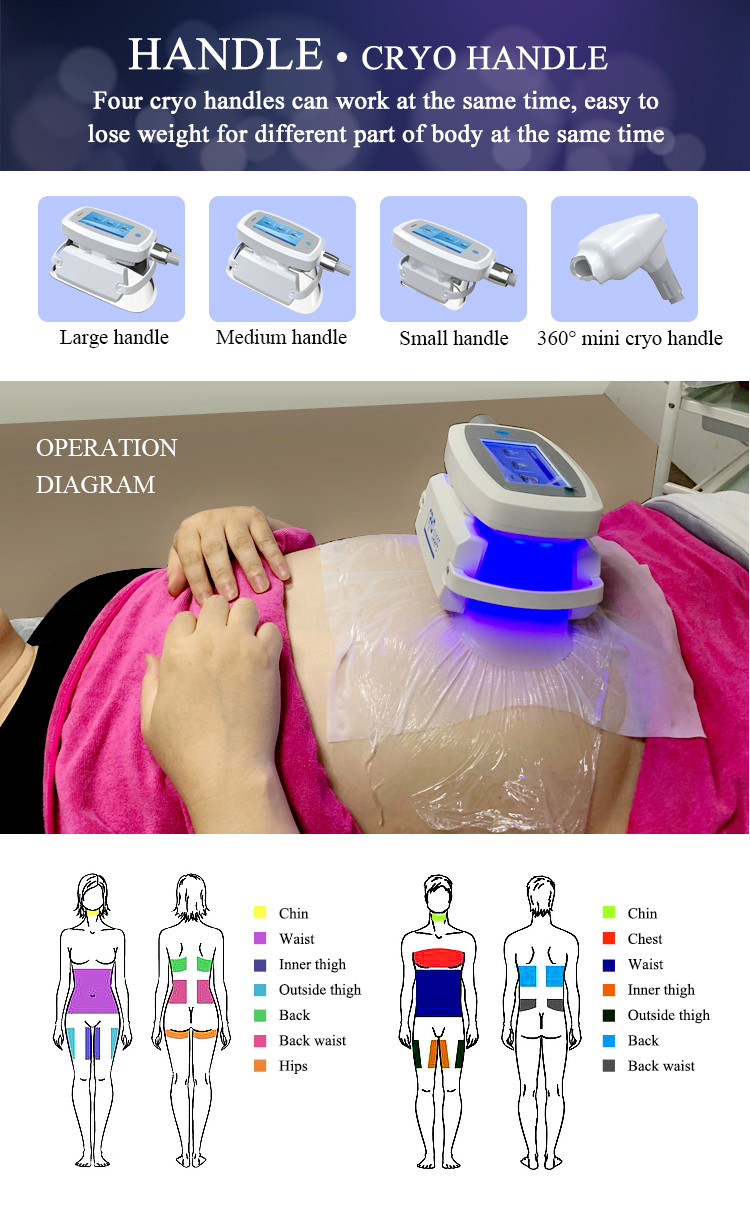 2020 New technology cryotherapy cryolipolysis body shaper slimming weight loss extracorporeal shock wave therapy equipme