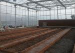 Remote Control Agricultural Greenhouse , Multi Span Glass Greenhouse For Tomato