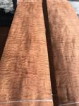 SAPELI: SAPELE POMMELE Wood Veneer China