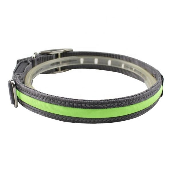 High Visibility Waterproof LED Dog Collar USB Rechargeable Lightweight