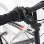 Oem Accpeted Road Bike 700c Air Tyre Included 6 Speed Aluminum Alloy