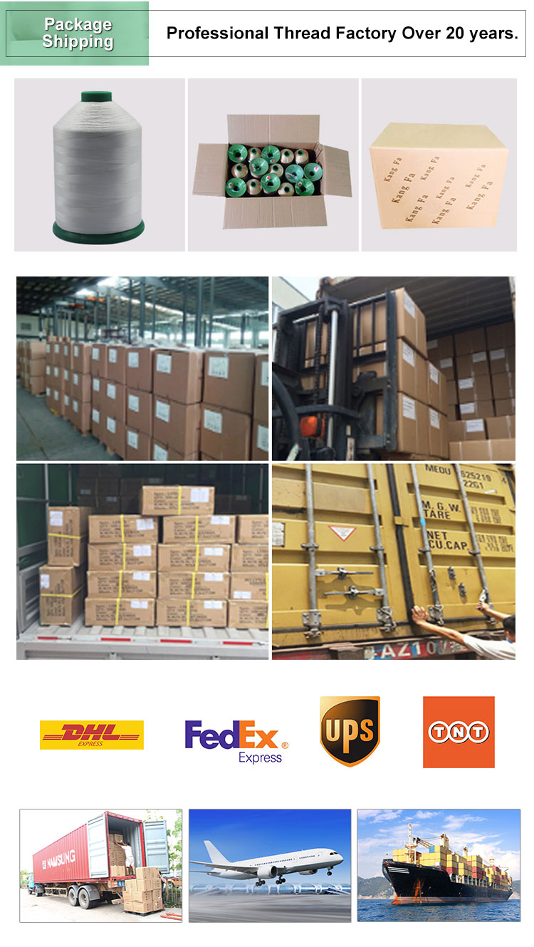 Continuous Filament 1kg/roll 210d Nylon 6 Sewing Thread for Quilting Mattress Pattern Dyed