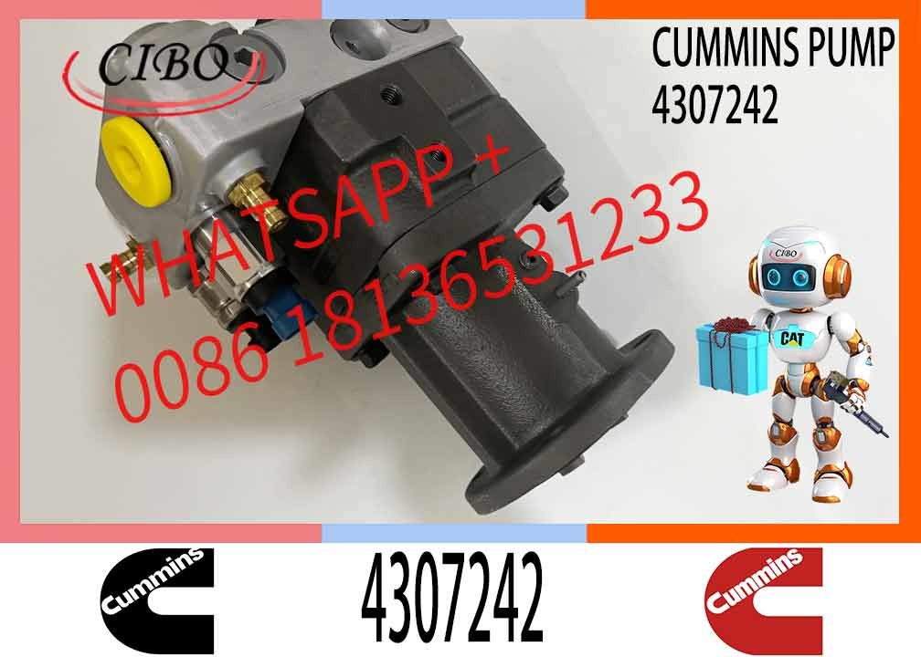 cummins qsk60 engine parts Fuel Pump 4307242 for cummins crane engine marine engine