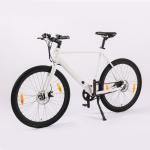 Urban Road Electric Bicycle with TRUCK Rear Drive 36V 250W Motor and Aluminum