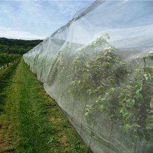 Wholesale HDPE UV Resistant Netting Anti Hail for Agriculture and Gardenning from china suppliers