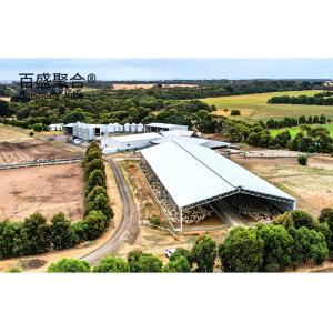 Wholesale Metal Building Steel Structure Customized For Cattle Cow Shed / Sheep Shed / Piggy House from china suppliers