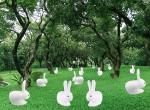 LED colorful light Yutu Mid-Autumn Festival moon rabbit modeling lighhting