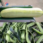 350KG 2.2KW Wax gourd peeling equipment manufacturers direct automatic