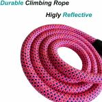 Highly Reflective Nylon Dog Leash Comfortable Handle