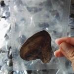 Wholesale Vacuum-packed 7-8mm A grade rice shape freshwater pearl oyster white