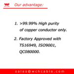 UL21310 Heat Resistant Braid-Screended LSZH Welding Cable FRPE Jacketed
