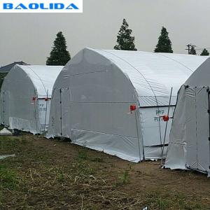 Wholesale Off Season Tunnel Plastic Film Greenhouse Mushroom Greenhouse from china suppliers