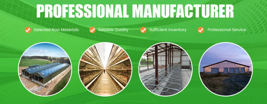 Easy Installation Strong Snow Pressure Resistance Prefabricated Steel Structure Chicken Coop for Poultry Farming