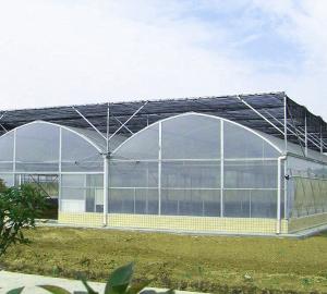 Wholesale Durable Multi Span Greenhouse Arched Roof Plastic Film Cover 0.12 / 0.15 / 0.20mm from china suppliers