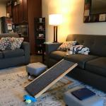 Zoopollo Wooden Folding Pet Ramps For Couch Bed Car Anti Slip Bed Ramp For Dogs