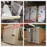 Polyurethane Core Side Hinged Coldroom Doors Double Swinging Insulation Doors