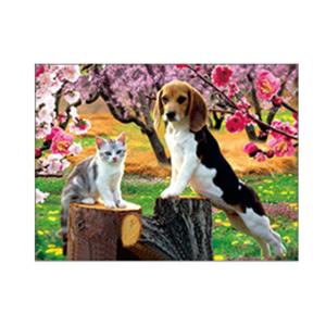 Wholesale Lovely Cats And Dogs 3D Lenticular Pictures Printing Customized Size from china suppliers