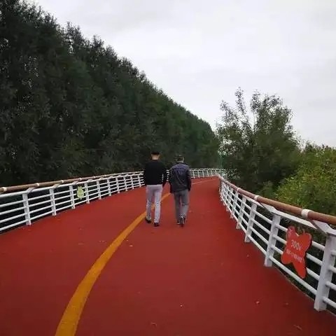 3mm Rubber Walking Path Colured Eco-friendly Granules EPDM Runway