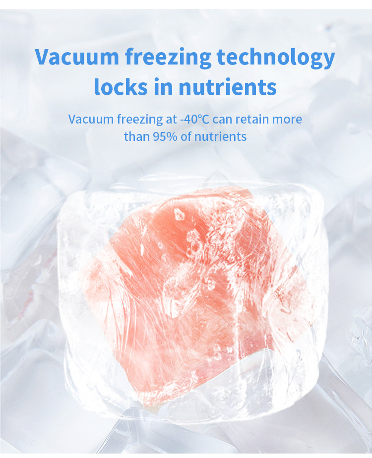 Household Small Vacuum Freeze Dryer Lyophilizer 2300W For Fruit Meat Pet Food 220v