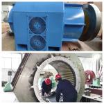 50Hz/60Hz Water Turbine Generator for Indoor / Outdoor Rated Voltage 220V-690V