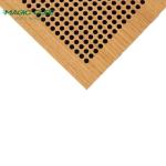 Conference Room Acoustic Treatment with Perforated Acoustic Panel in 12mm