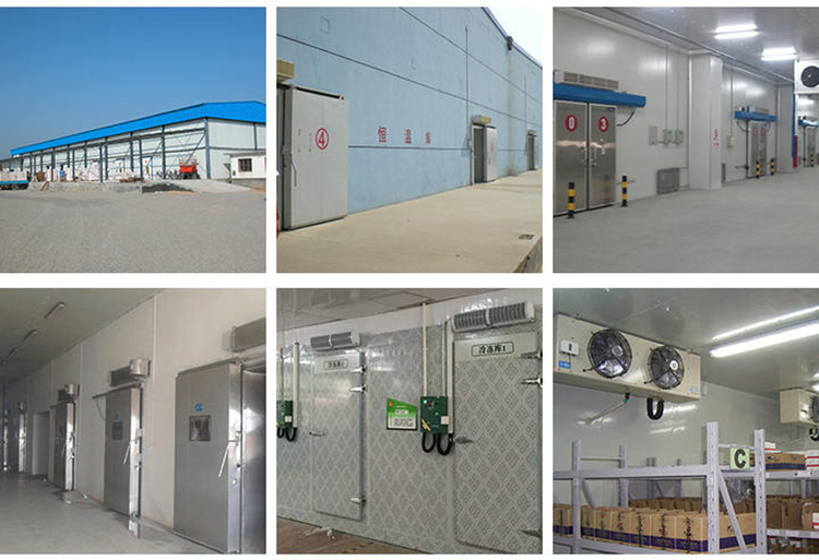 800ton Walk In Cold Chamber Freezer Cold Room For Chicken Beef Meat