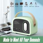 Portable Audio Player Hifi Stereo TF USB FM Radio Wireless Retro Blue tooth
