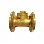 Bronze Flanged Swing Check Valve