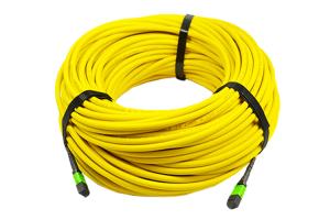 Wholesale 24 Core Fiber Optic To 24F MPO MTP Patch Cord Fiber Trunk Cable from china suppliers