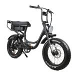 20 Inch Electric Bike 48v 500w 1000w Fat bike Alloy Frame with Suspension Fork