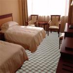 Decorative Room Carpet Flooring Colorful Printed Grid Pattern Wilton Design