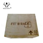 Plywood Crossfit Essential Equipment Wooden Plyo Box With Embossing Handling
