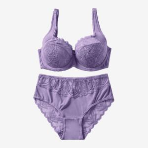 Wholesale High Quality Comfortable Women's Bra And Panty Set Lace Underwear And Bra Sets D Cup from china suppliers