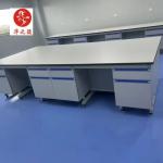 Steel Wood Modular Lab Furnitures Supply Customizable Storage for Laboratories