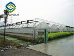 Anti Drip 150mic 8m Tomato Plastic Film Greenhouse