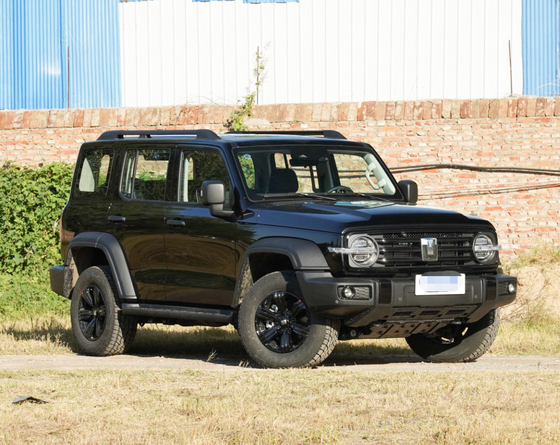 Cool 2023 Tank 300 2.0T City Model Challenger Version Compact SUV 5 Door 5 Seats