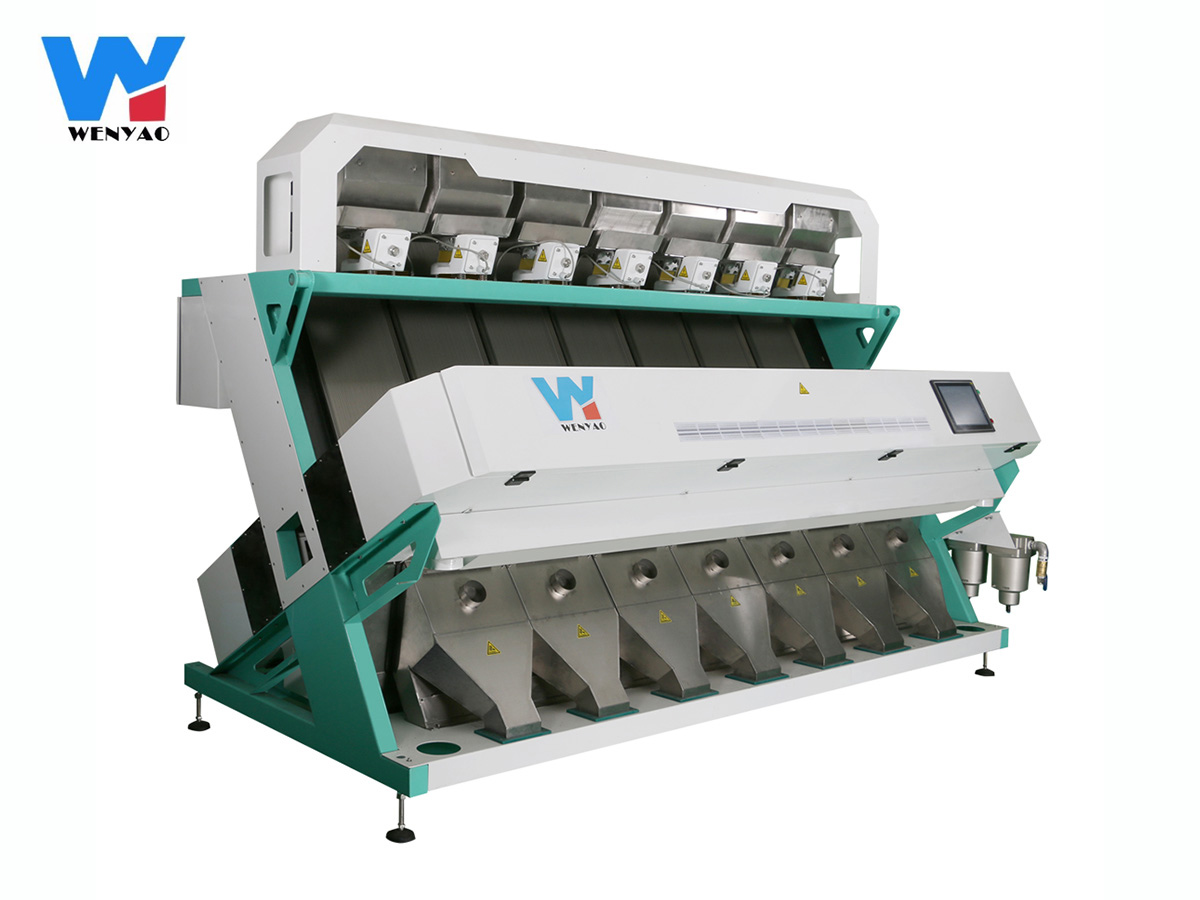 Intelligent Prunes Blueberry Cabbage Kiwicha Fried Onion Vegetable Fruit Color Sorter Machine for Farm Processing