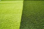 Weather Resistant Realistic Synthetic Turf for Soccer Stadiums High Performance