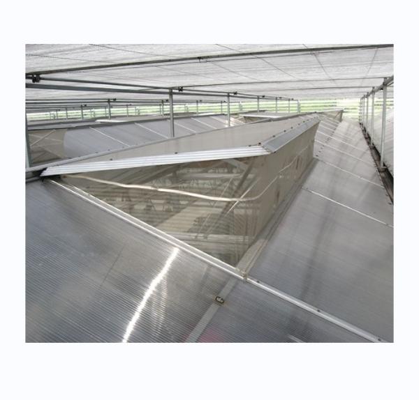 Vegetable Fruits And Flowers Multi Span Agricultural Greenhouse With Tempered