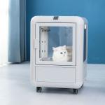 Blue PET Drying Room box PTC Air Bath Constant Temperature Energy Saving