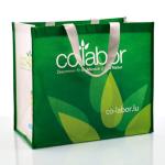Eco Friendly China PP Woven Bags for Shopping , Custom PP Woven Shopping Bag